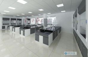 实验室工程:构建科研未来的坚实基石